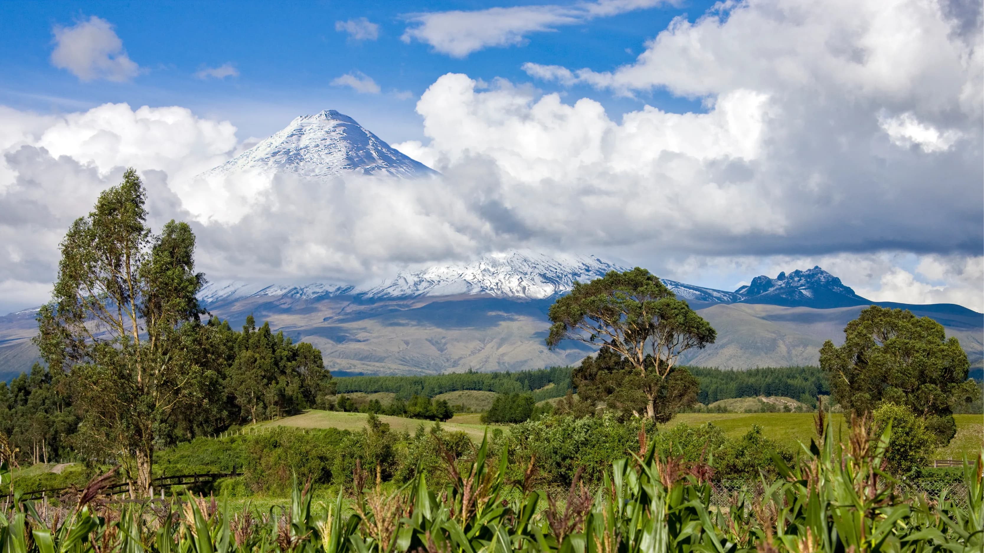 Cotopaxi  