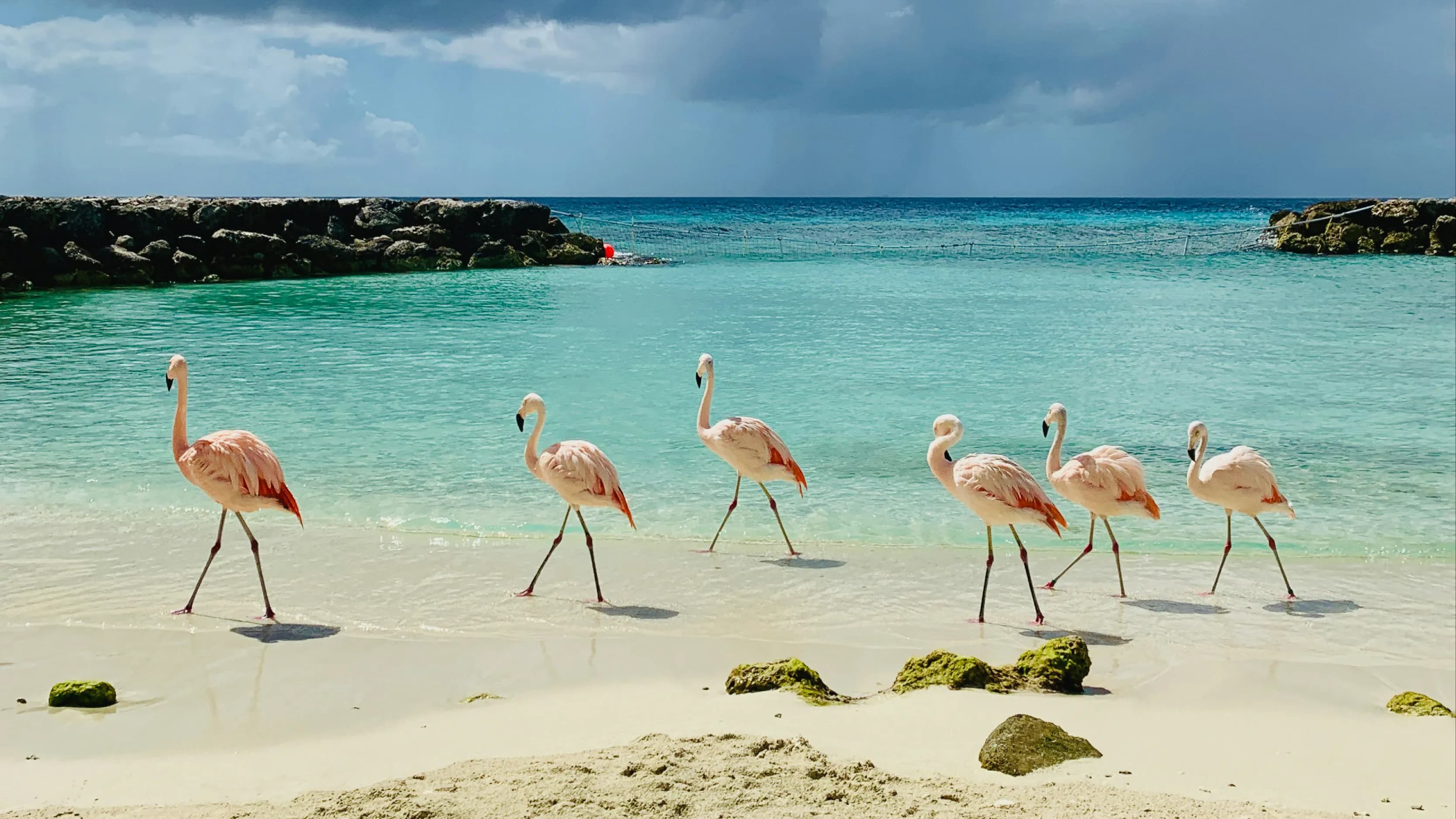 Aruba